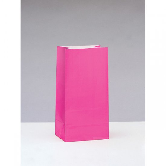 12 Paper Party Bags Fuchsia